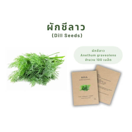 เมล็ดพันธุ์ผักชีลาว LETPOT ไทย ออแกนิค ฟาร์ม_2